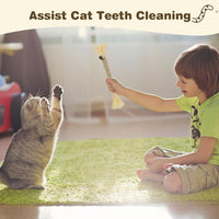 4 Pack Silvervine Sticks for Cats - Grey / 4 - image 4