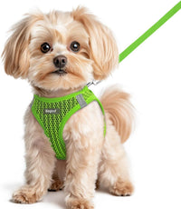 Eagloo Small Dog Harness and Leash Set - XS(Chest:13.3"-15.5") / Green