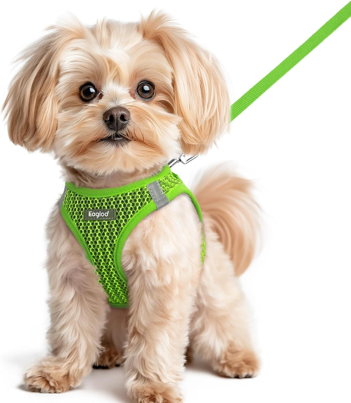 Eagloo Small Dog Harness and Leash Set - XS(Chest:13.3"-15.5") / Green