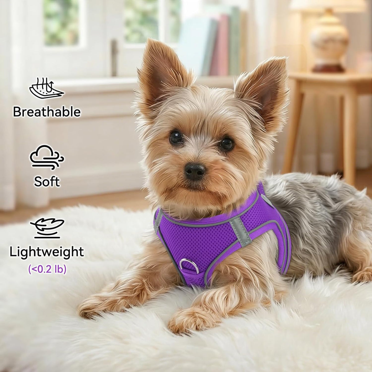 Joytale Step-in Dog Harness, Soft Breathable Mesh, Black S – Essentials for Dogs - S--Chest: 15-16.5'' / Purple - image 4