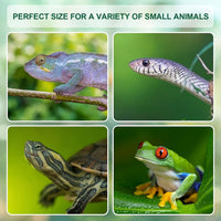 Large Acrylic Reptile Terrarium Breeding Tank 15.3"x9.7"x7.6" – Essentials for Reptiles And Amphibians - Small (Pack of 2) - image 2