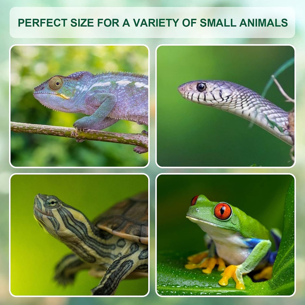 Large Acrylic Reptile Terrarium Breeding Tank 15.3"x9.7"x7.6" – Essentials for Reptiles And Amphibians - Small (Pack of 2) - image 2