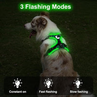 Taglory Light Up Dog Harness, Rechargeable No Pull Dog Vest with 3 Lightning Modes, Reflective Dog Harness with 2 Leash Clips & 4 Adjustable Slide Strips for Medium Dogs, Turquoise-Green, M