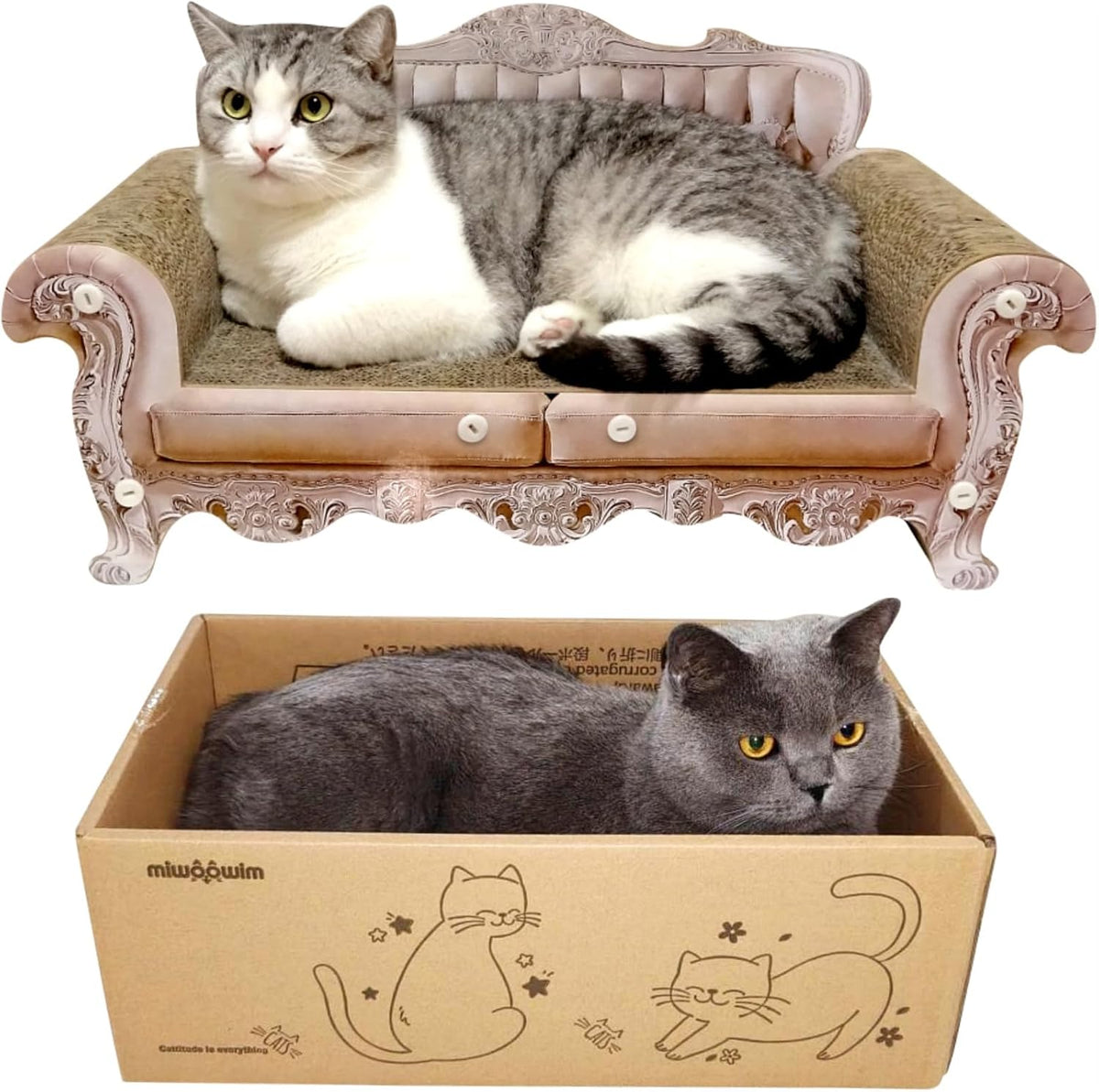 Royal Cat Scratcher Sofa & Box