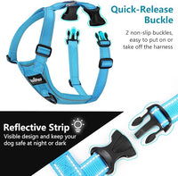 Dog Seat Belt Harness for Car, Dog Car Harness Adjustable Mesh Breathable & Dogs Seatbelt Safety Tether with Elastic Bungee for Small Medium Large Pets(Blue, L)