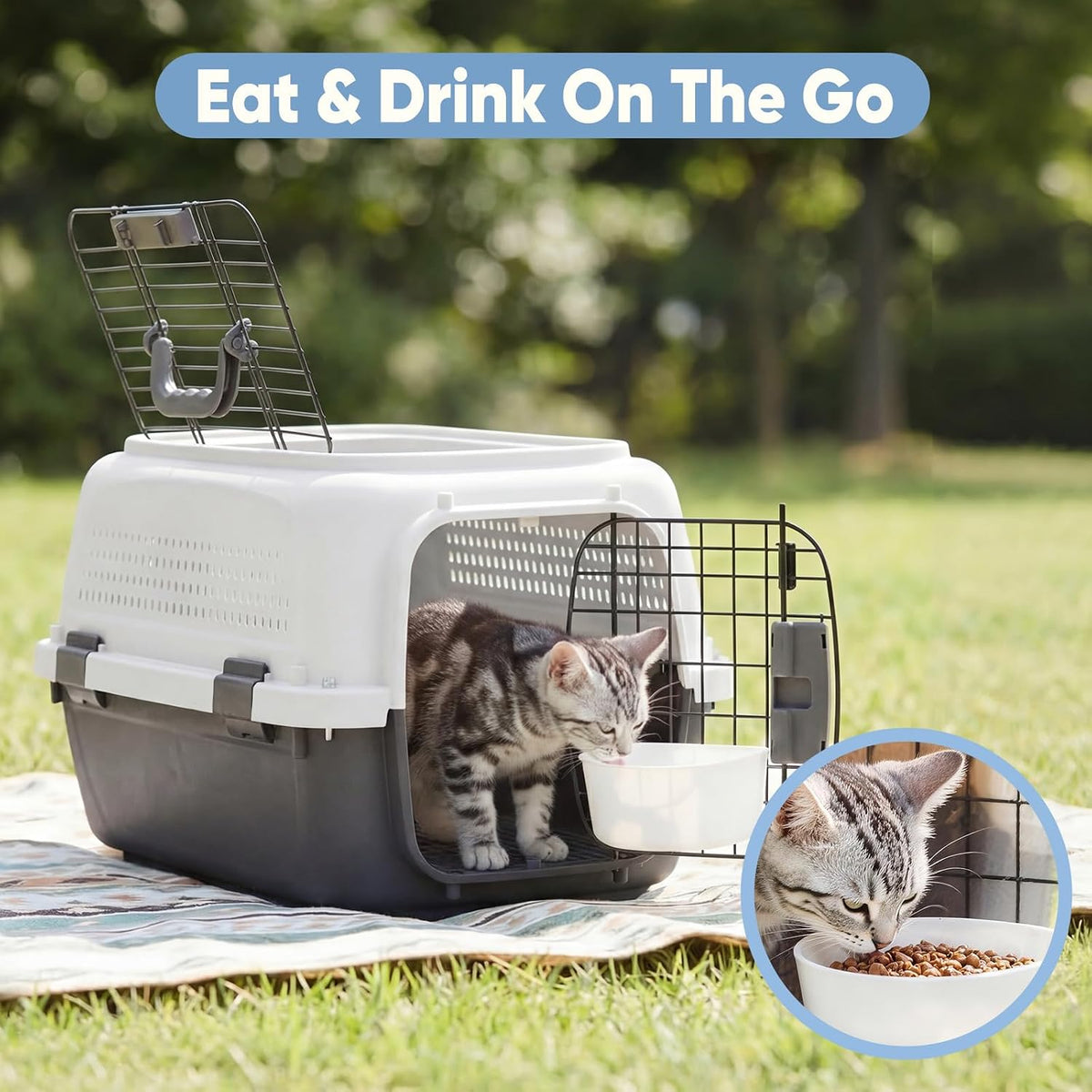 DUMOS 23" Hard-Sided Pet Carrier for Small Pets - White & Black / 22.4"L x 14.6"W x 13.0"H - image 4