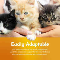 SmartCat All Natural Clumping Cat Litter - 10-Pound - image 2