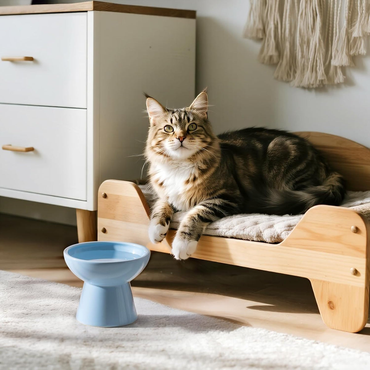 Extra Wide Elevated Ceramic 6.2" Shallow Cat Food Bowl – Essentials for Cats - Blue-Deeper - image 3