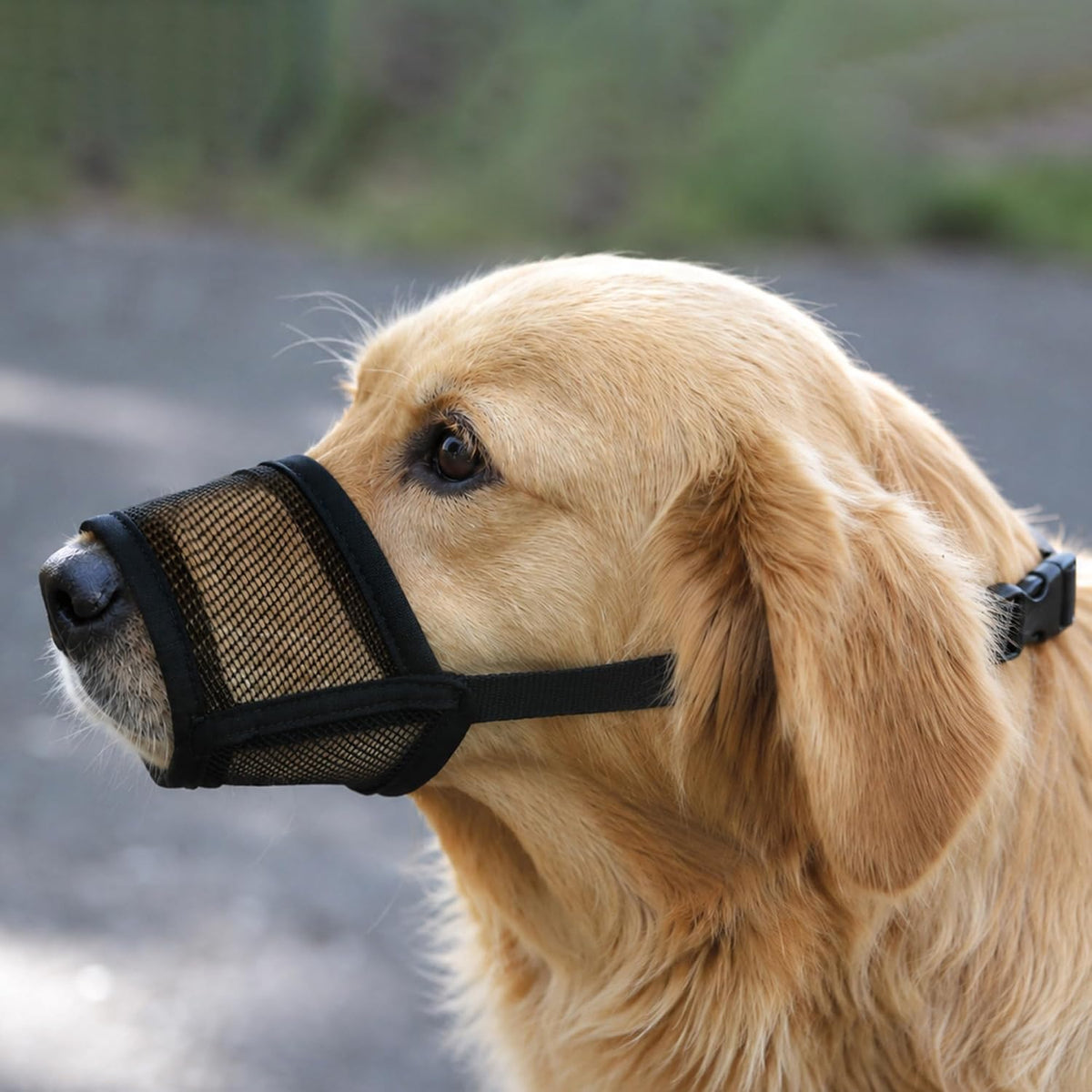 Dog Muzzle for Large Dogs, Air Mesh Muzzle for Large Sized Dog - Medium / Breathable Mesh