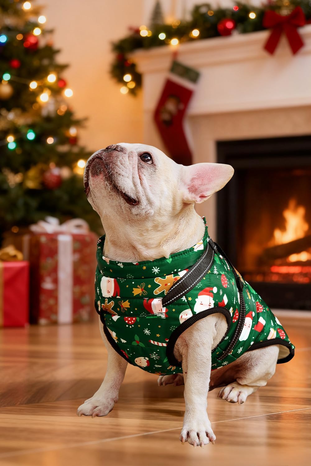 Aiboria Dog Jackets Coat for Winter Windproof Waterproof Skiing Dog - Christmas Green / XX-Large - image 3