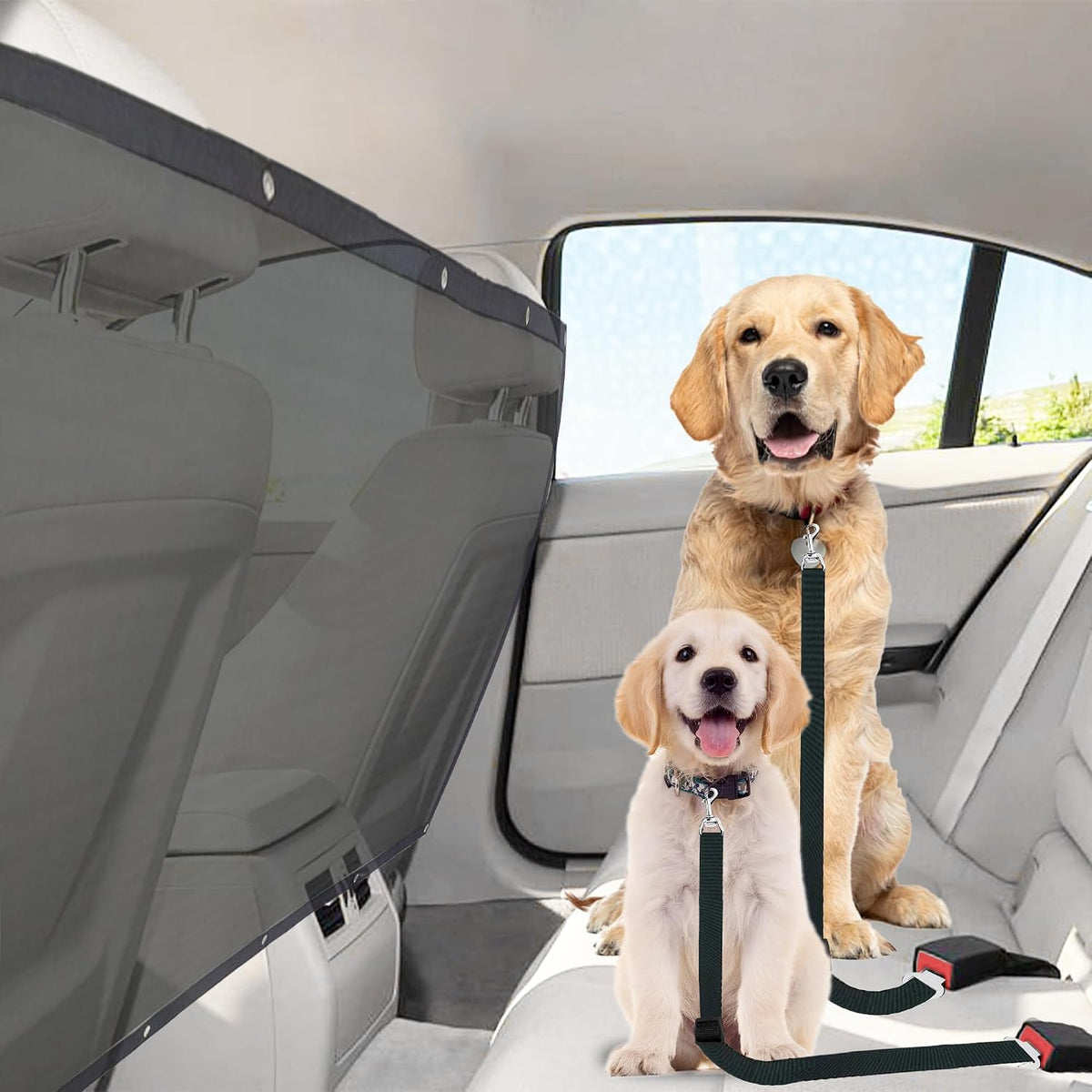 SunGrow Elastic Nylon Dog Seat Belt, 24”, 36” - 2 Black Belts+1 Barrier - image 2
