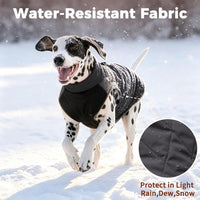 Winter Dog Coats for Small Dogs, Puppy Jacket with Harness - Black(Standard) / XX-Large - image 4