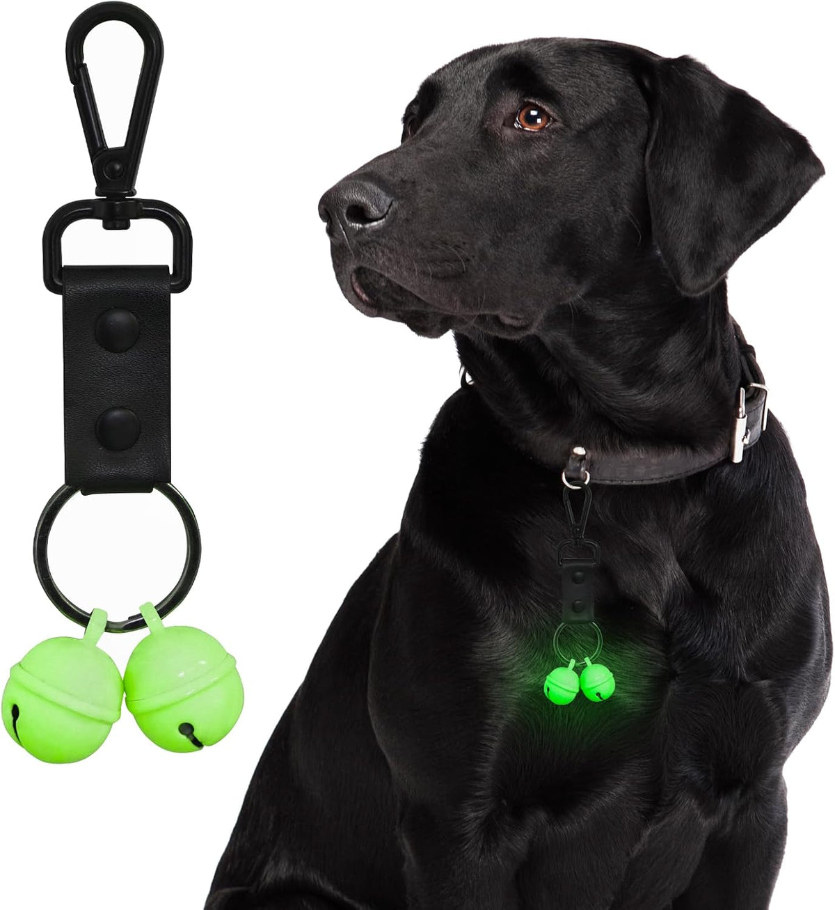 Bells for Dog Collar, Glow Bell for Medium to Large Dogs - Large Breed
