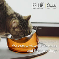 Felli Pet Oblik Acrylic Raised Dog Food Water Bowl Stainless Steel - Gold / 0.5 Cups Shallow Dish - image 3
