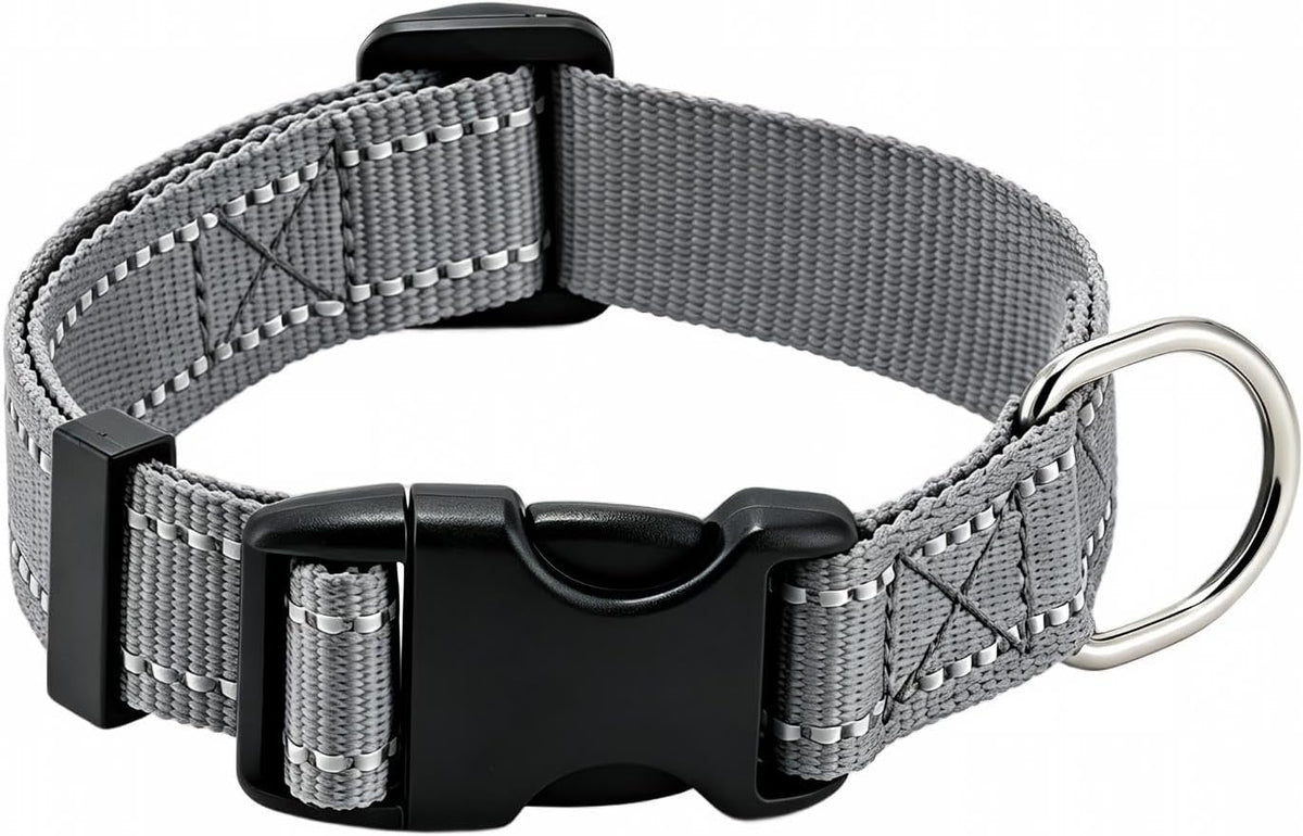 Dog Collar for Small Medium Dogs with Buckle - Dark Gray / Large