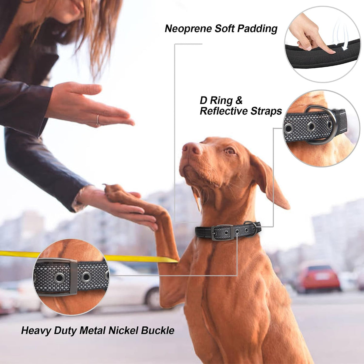 PetiFine Dog Collars for Medium Dogs - Black / X-Large (23"-27") - image 2