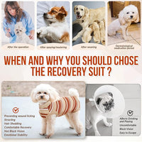 Lukovee Recovery Suit for Dogs, Onesie Surgery Recovery Suit for Female Male Dogs, Abdominal Wounds Cone E-Collar Alternative Prevent Licking Spay Recovery Suit (Brown Stripes,L)