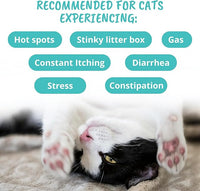Under The Weather Pet Probiotic Chews for Cats | Promotes Normal Digestion, Balances Healthy Gut Health | 60 Star Shaped Soft Chews