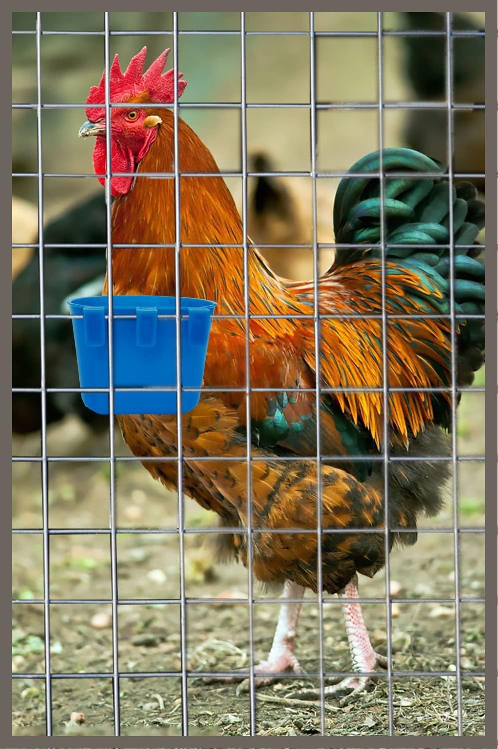 Cage Cups Birds Feeders Seed Bowl Chicken Feeding Watering Dish - 10PCS BLUE - image 4