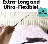 Forever Stick Unbreakable Cat Wand Toy, Durable Feather Teaser – Essentials for Cats - Forever Stick and Extra Toys and Strings - image 3