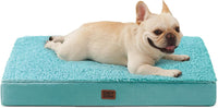 EHEYCIGA Orthopedic Dog Bed Large with Removable Washable Cover - 30*20*3.5 inches / Turquoise Blue