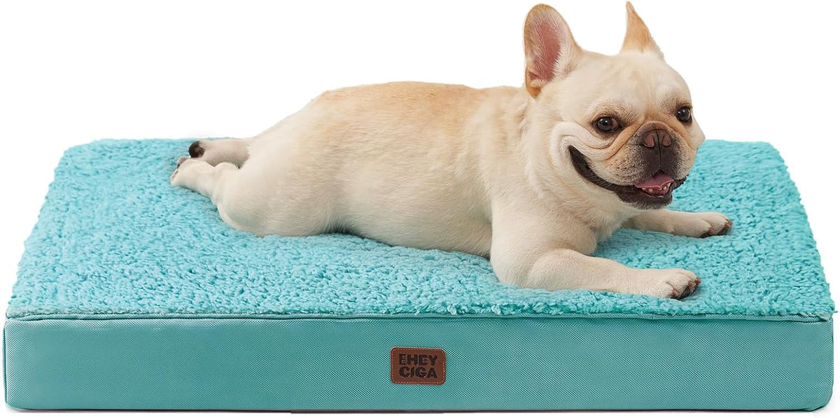 EHEYCIGA Orthopedic Dog Bed Large with Removable Washable Cover - 30*20*3.5 inches / Turquoise Blue