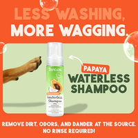 TropiClean No Rinse Waterless Dog Shampoo | Detangling & Deodorizing Dry Shampoo for Smelly Pets | Moisturizes Dry Skin | USA Made | Papaya Scent | 7.4oz