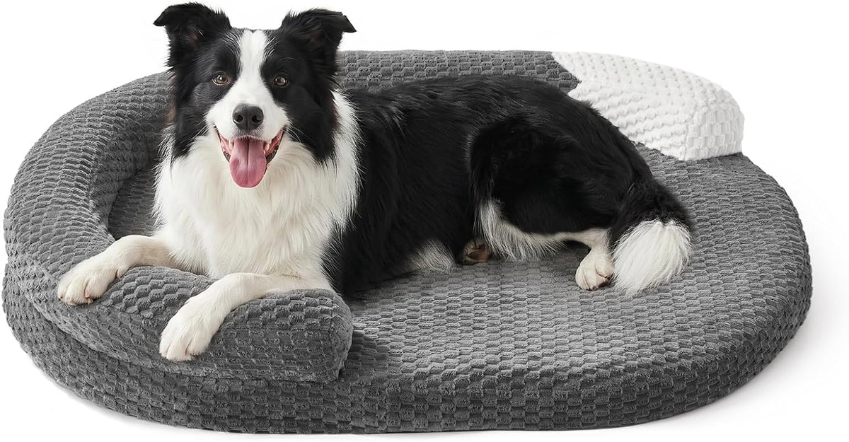 JOEJOY XL Orthopedic Dog Beds Large Sized Dog - Dark grey / L(36"x 27"x 6")