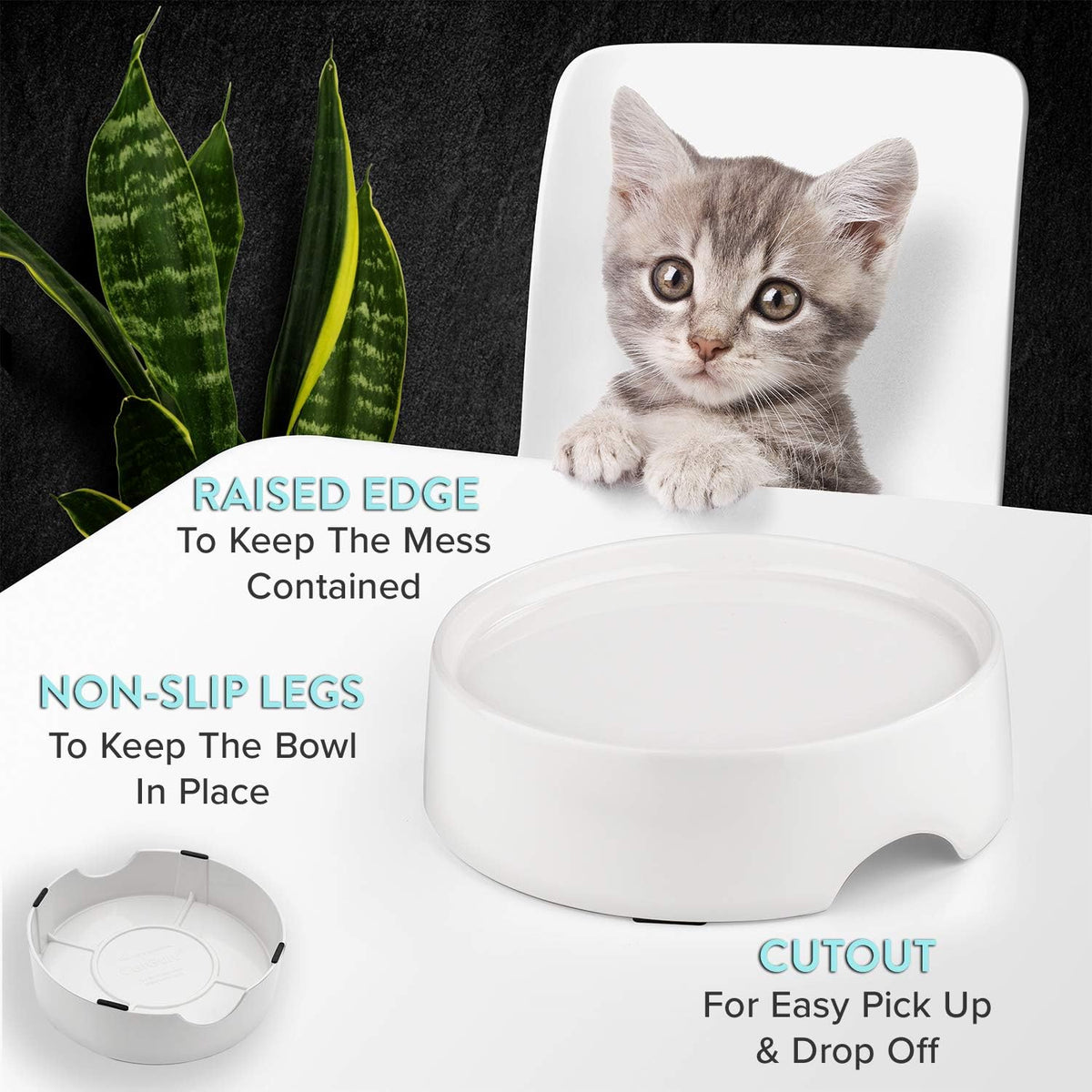 CatGuru Food Table for Cat Bowls - Standard / Marshmallow - image 3