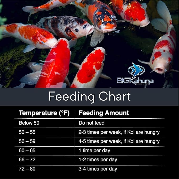 BIG Kahuna Koi Fish Food- 2lbs Food – Made in The USA - Koi Food Floating Pellets – 3/16" - 1/4" Pellet Size – 32% Protein Fish Food – Rich in Nutrients