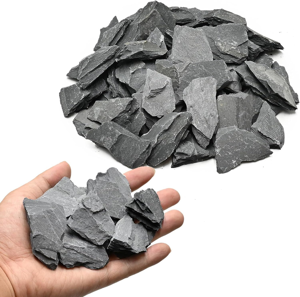 Natural Rocks Seiryu Stone 1-2.5 Inches Decorative Stones for Fairy - Slate Stone / 2lb(1-2.5Inch)