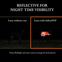 Blaze Orange Dog Vest. Reflective High Visibility in Hunting & Wooded - Orange / Medium - image 3