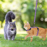 PAWCHIE cat harness, leash and collar set with star and moon pattern - view 3