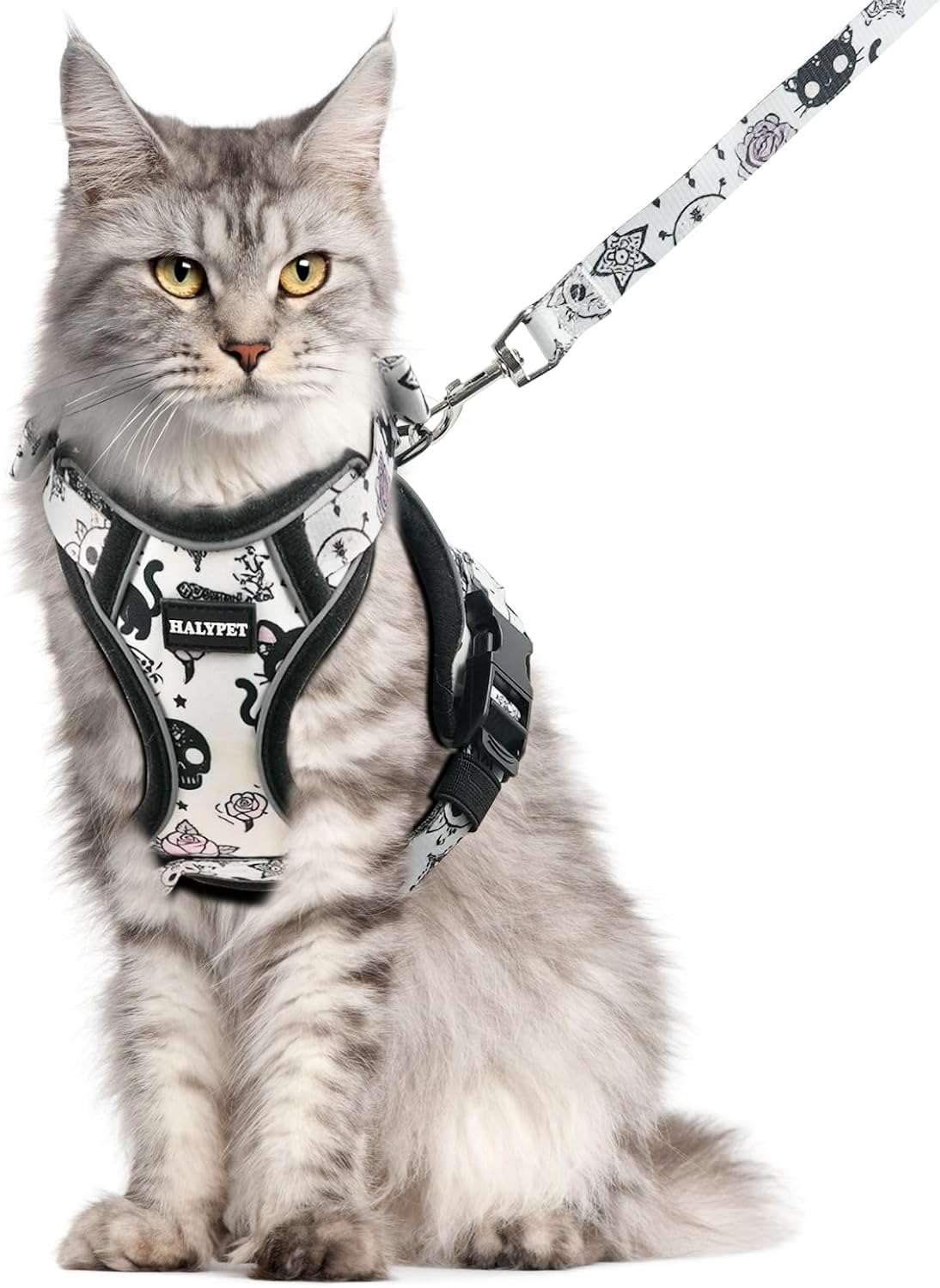 Cat Harness and Leash Set, Escape Proof Kitten Harness, Black - H604 Pro Moonlight Meow / Medium (13-18lb)