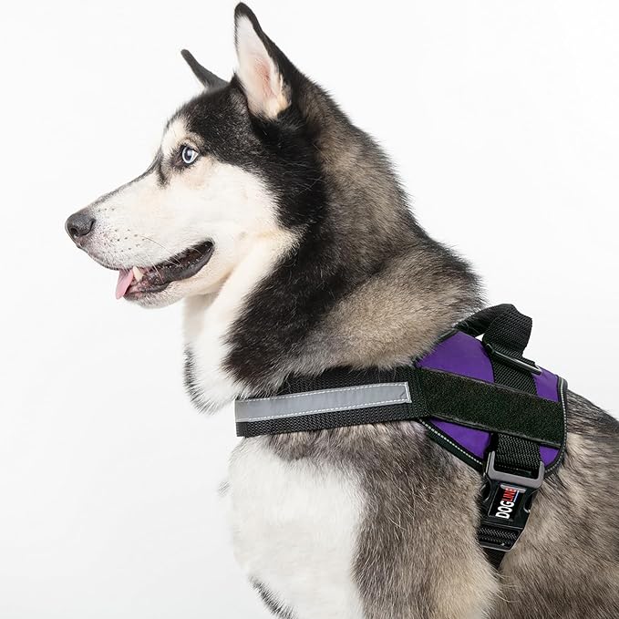Dogline Dog Harness, Reflective No-Pull Adjustable Vest with Handle for Walking, Training, Breathable, No - Choke Harness for Small, Medium or Large Dogs Room for Patches Girth 33"-46" in Purple