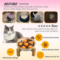 Ceramic Slow Feeder Cat Bowl, 6.3" Whisker Friendly Anti-Vomit - Orange + Stand - image 4