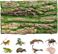 PINVNBY Reptile Terrarium Cork Background - 【Natural Cork Bark+Artificial Moss】 / 【1 PCS】