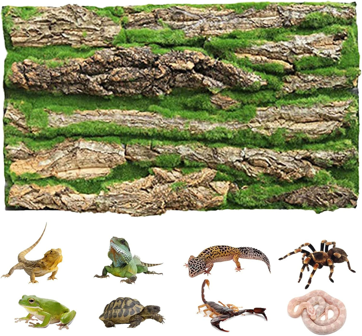 PINVNBY Reptile Terrarium Cork Background - 【Natural Cork Bark+Artificial Moss】 / 【1 PCS】
