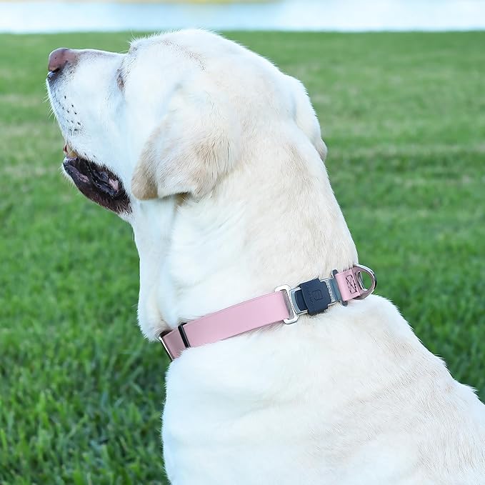 Dogline Biothane Waterproof Dog Collar with Herm Sprenger Stainless Steel Quick Release Buckle – Heavy Duty Tactical Durable Collar for Dogs – Comfortable and Safe Pet Collar, W 1" L 15-25", Pastel