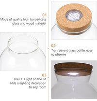 Fish Bowl with LED Light - Small Betta Fish Tank with LED Lighting and Lid Glass Fish Bowl Small Aquarium Glass Terrarium Container Bottle for DIY Landscape, Home Decor