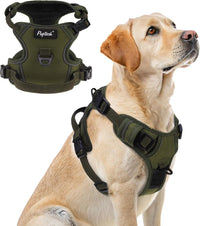 PUPTECK No Pull Halloween Dog Harness for Large - Green / Large / Harness Only