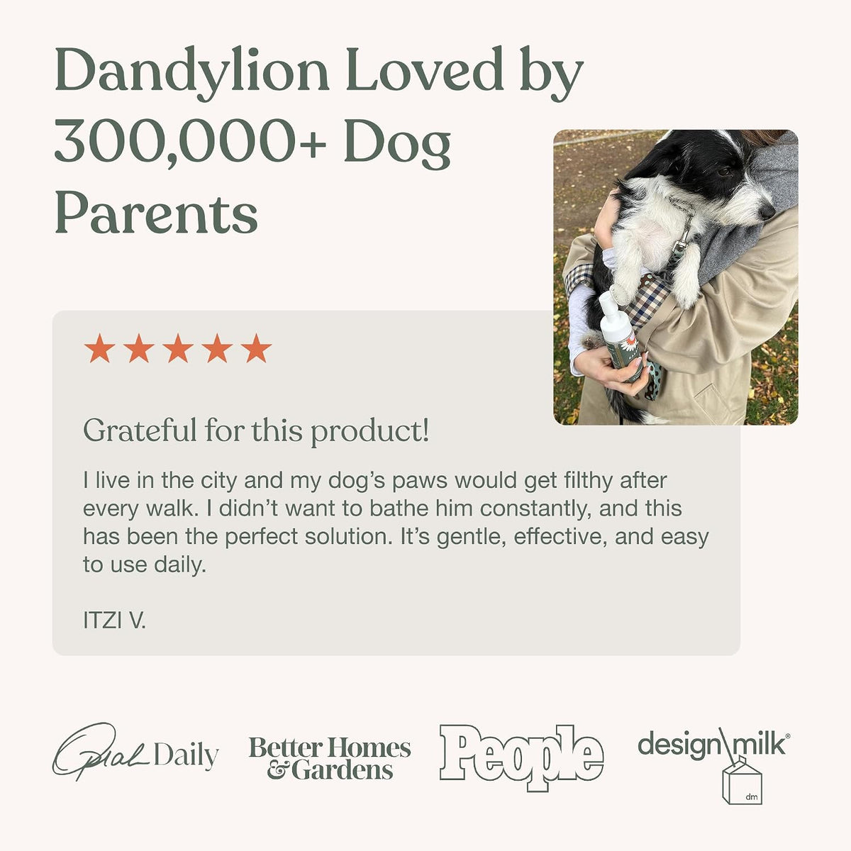 Dandylion, Dog Paw Cleaner, Clean Paws - 5 Fl Oz - image 4