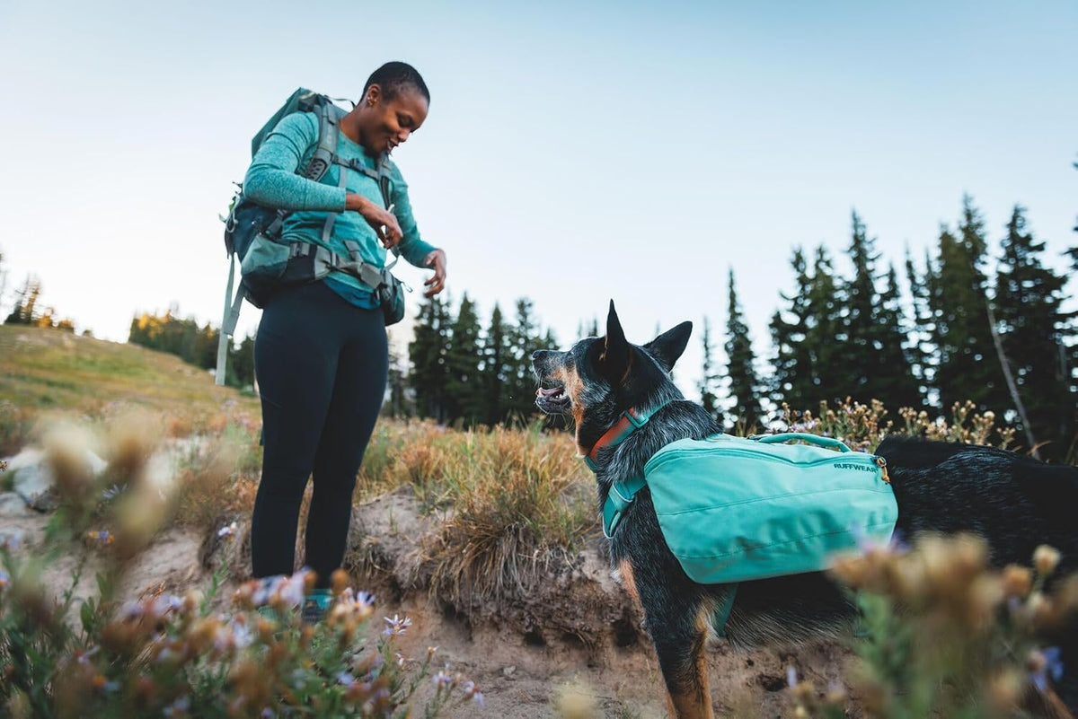 Ruffwear, Front Range Day Pack - Medium / Basalt Gray - image 2