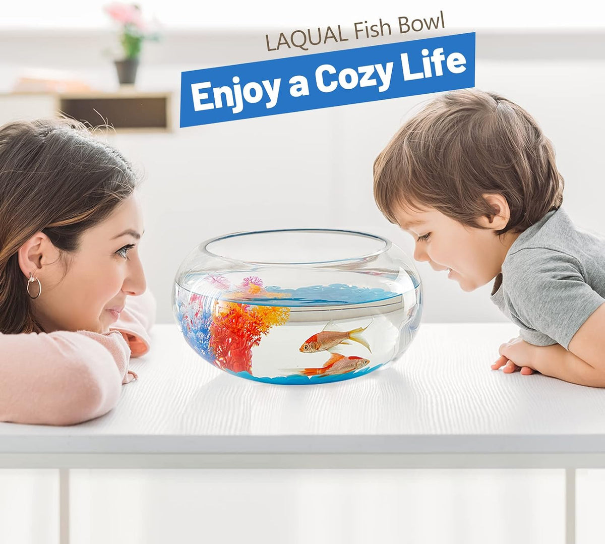 2 Gallon Glass Fish Bowl with Decor - 2 gal fish bowl - image 2