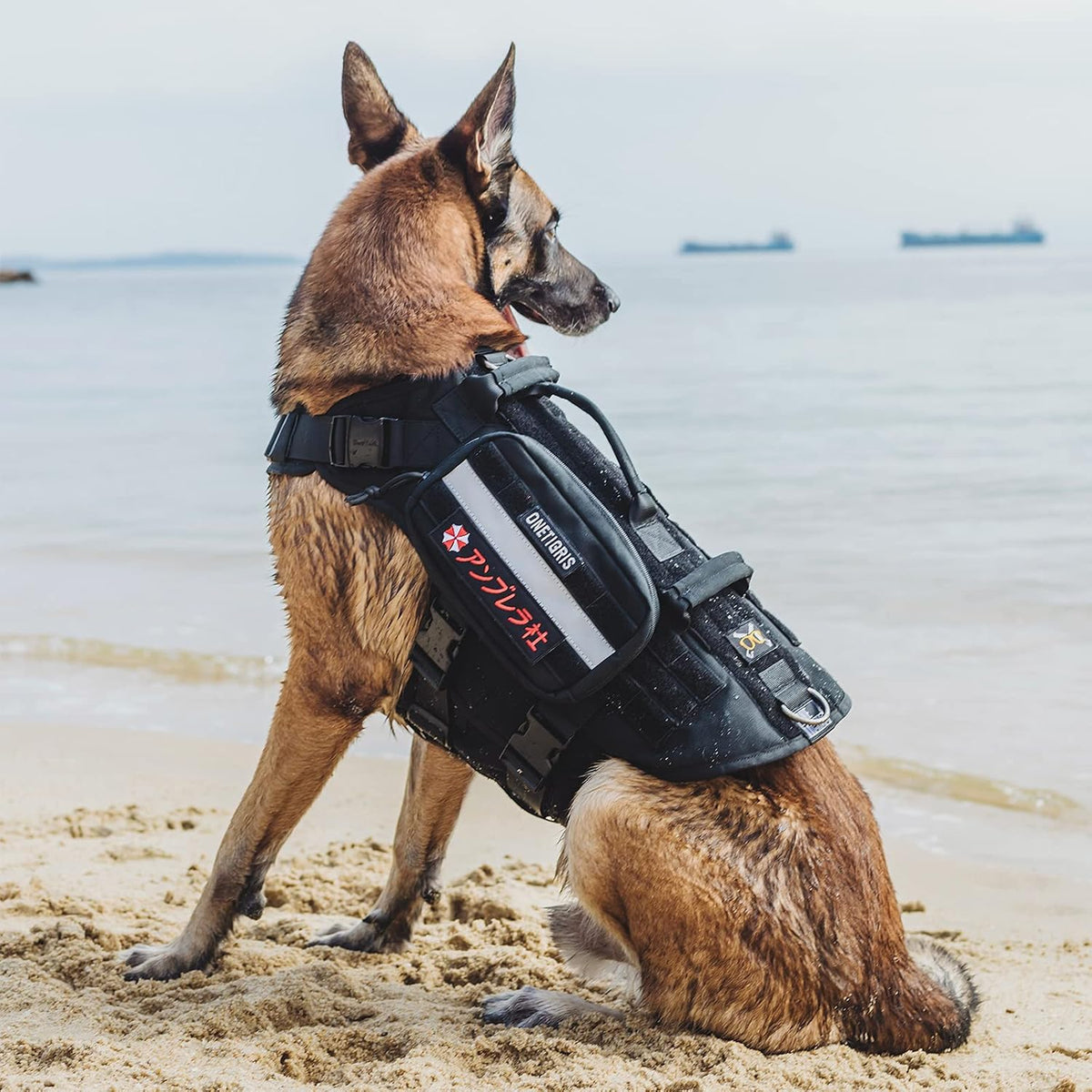 OneTigris Large Tactical Dog Harness No Pull Handle XL Black – Essentials for Dogs - Extra Large / Black - image 4