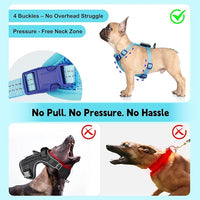 Rechargeable Light Up Dog Harness for Small Dogs – Adjustable LED Dog Vest with Reflective Strips, No Pull Glow in The Dark Puppy Harness for Night Walking Safety-Blue