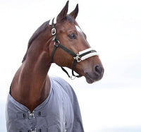 HORZE Howard Soft Fleece Padded Adjustable Polyester Horse Halter - Black - Pony