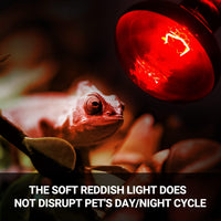REPTI ZOO 2 Pack Heat Lamp 100W - Infrared Basking Light Bulb - image 4