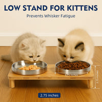 Raised Cat Bowl, Elevated Cat Bowls with Bamboo Stand, Set of 2 – Essentials for Cats - Rectangle Stand with Stainless Steel Bowls - image 3