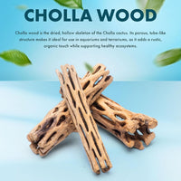 Natural Cholla Wood, Driftwood for Aquariums, Air Plant Base - Stick / 4 Inch (Pack of 3) - image 2